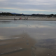 The research team at work on one of eight beaches studied. (Image: Souichiro Teriyaki, Kanazawa University)